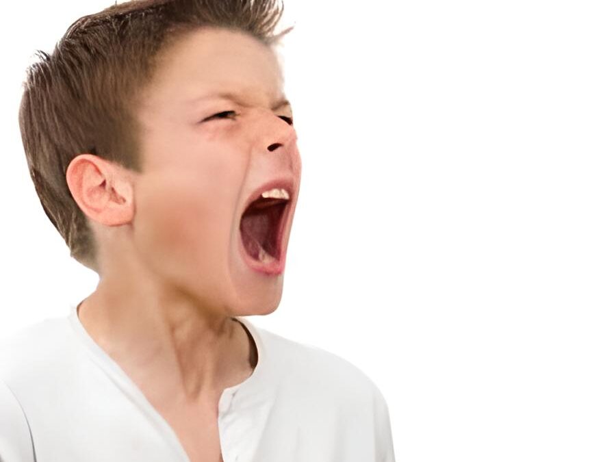 I disturbi della voce del bambino